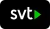 svt-1-1-1.webp